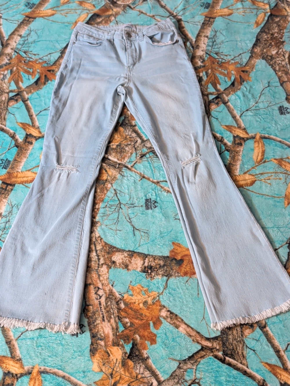 YMI Light Blue Flare Jeans with Knee Rips